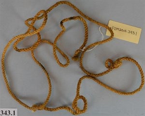 Image description is not available for FIM2015.343.1